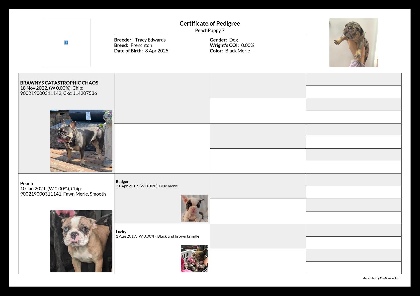 Pedigree