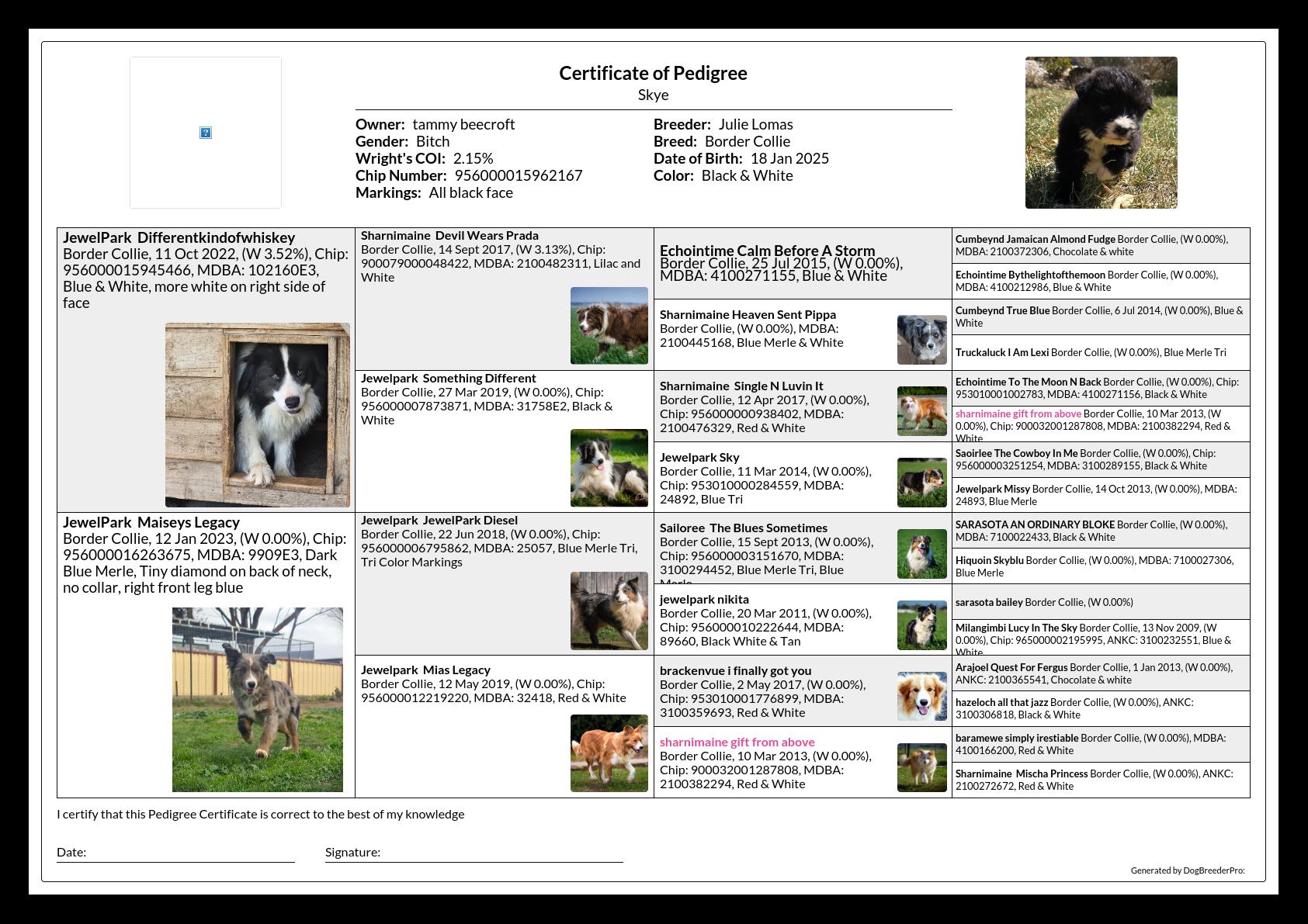 Pedigree