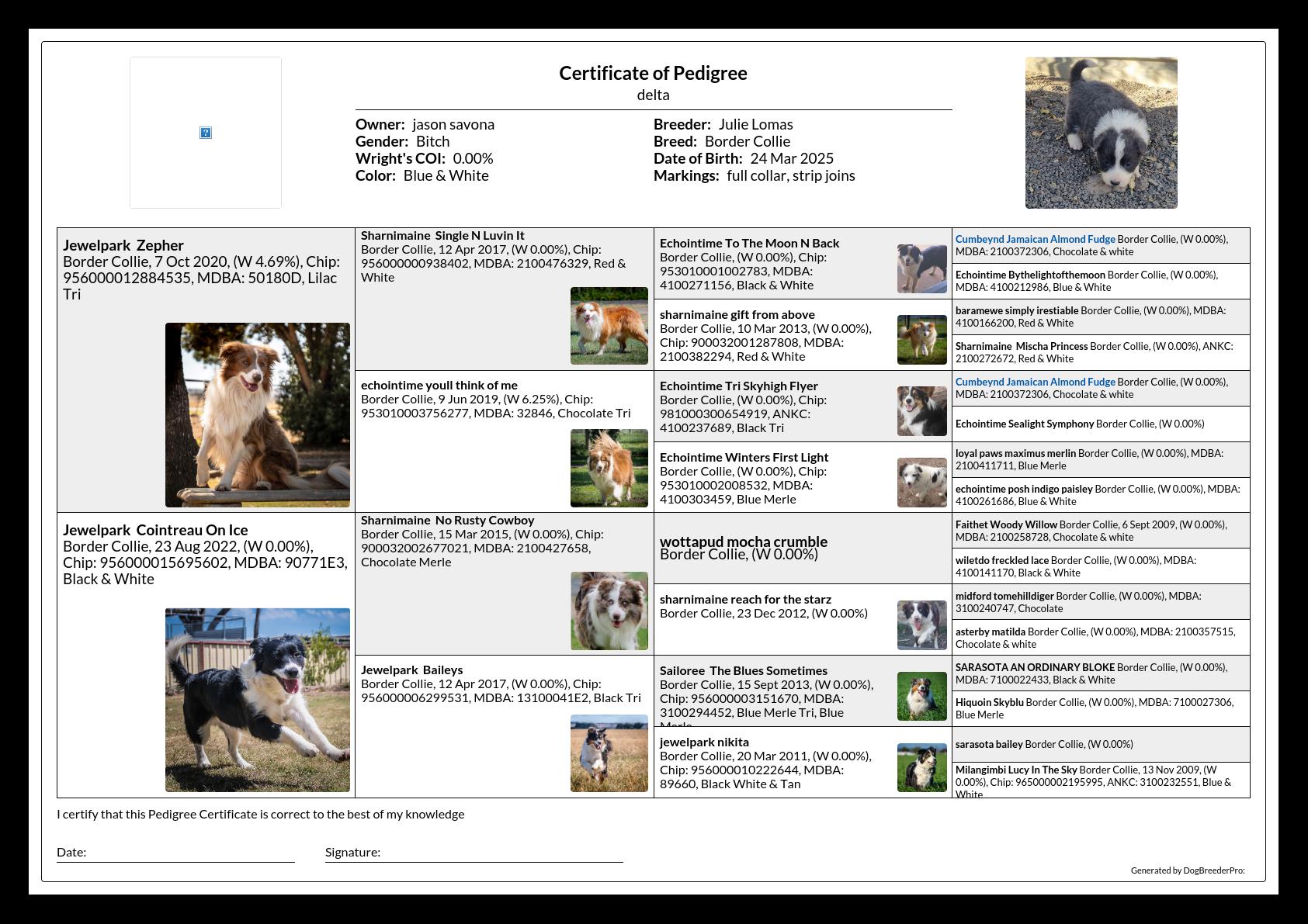 Pedigree