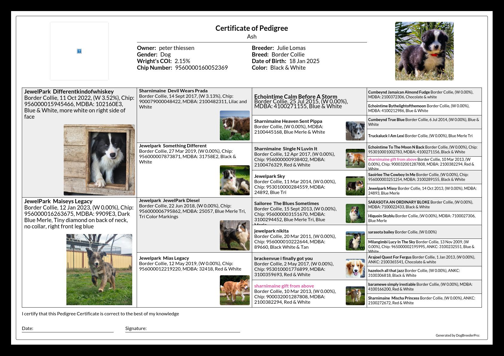 Pedigree