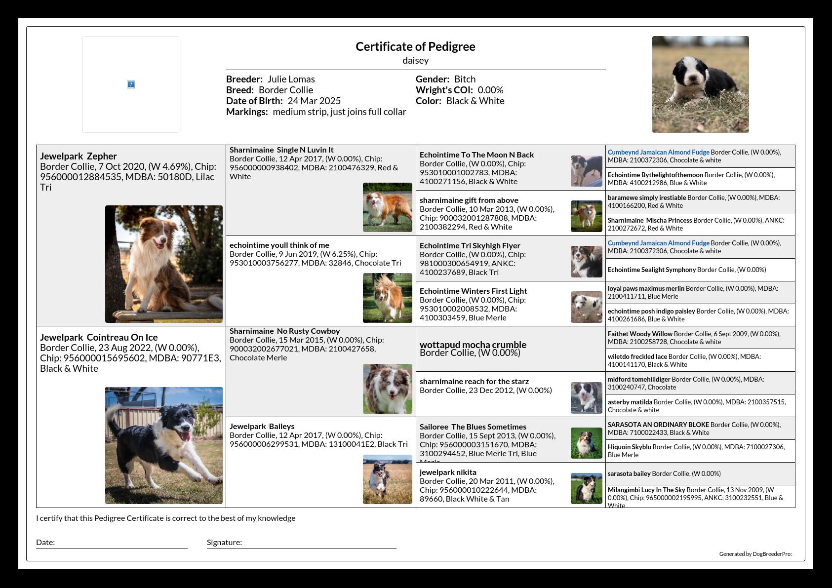 Pedigree