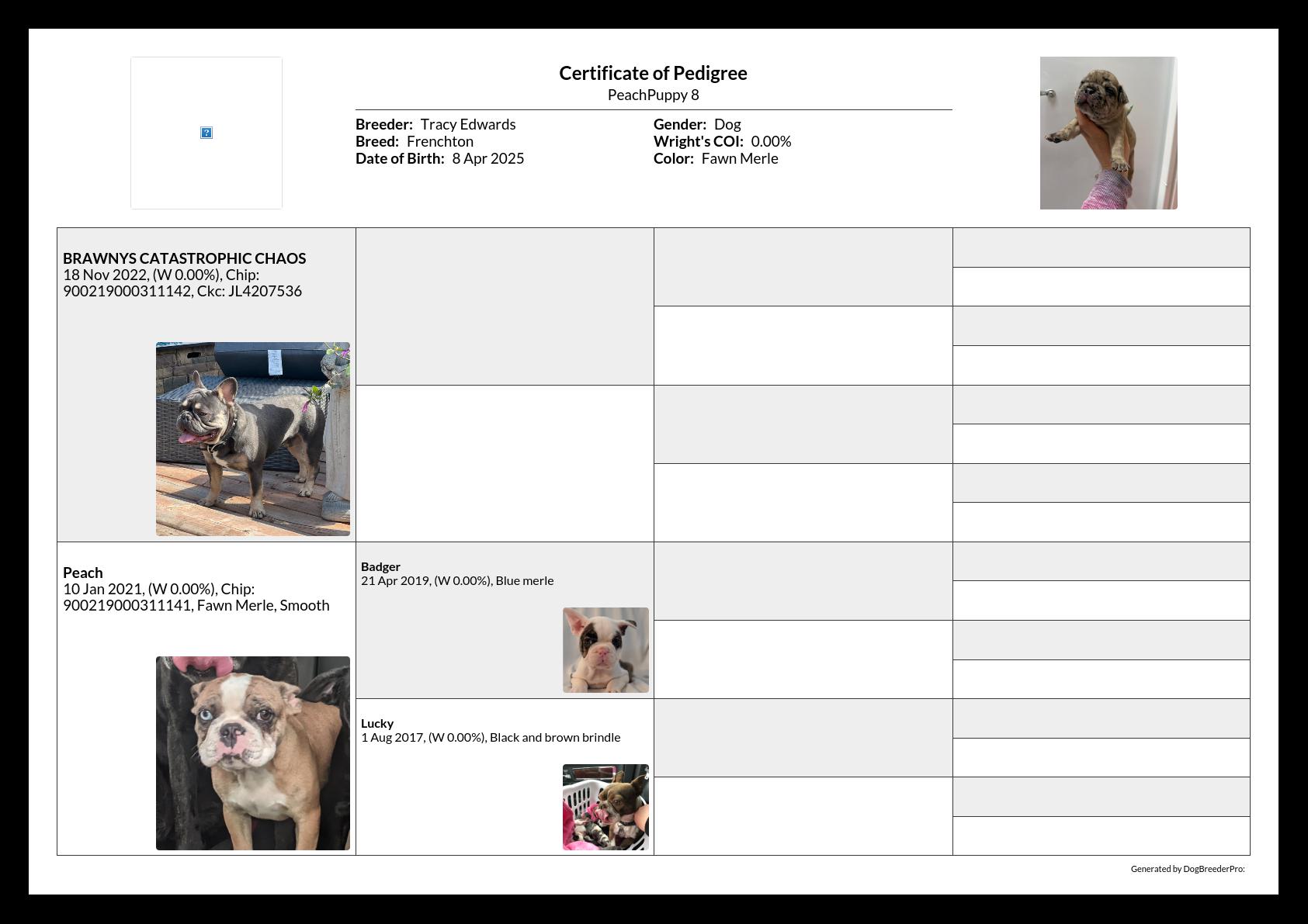 Pedigree