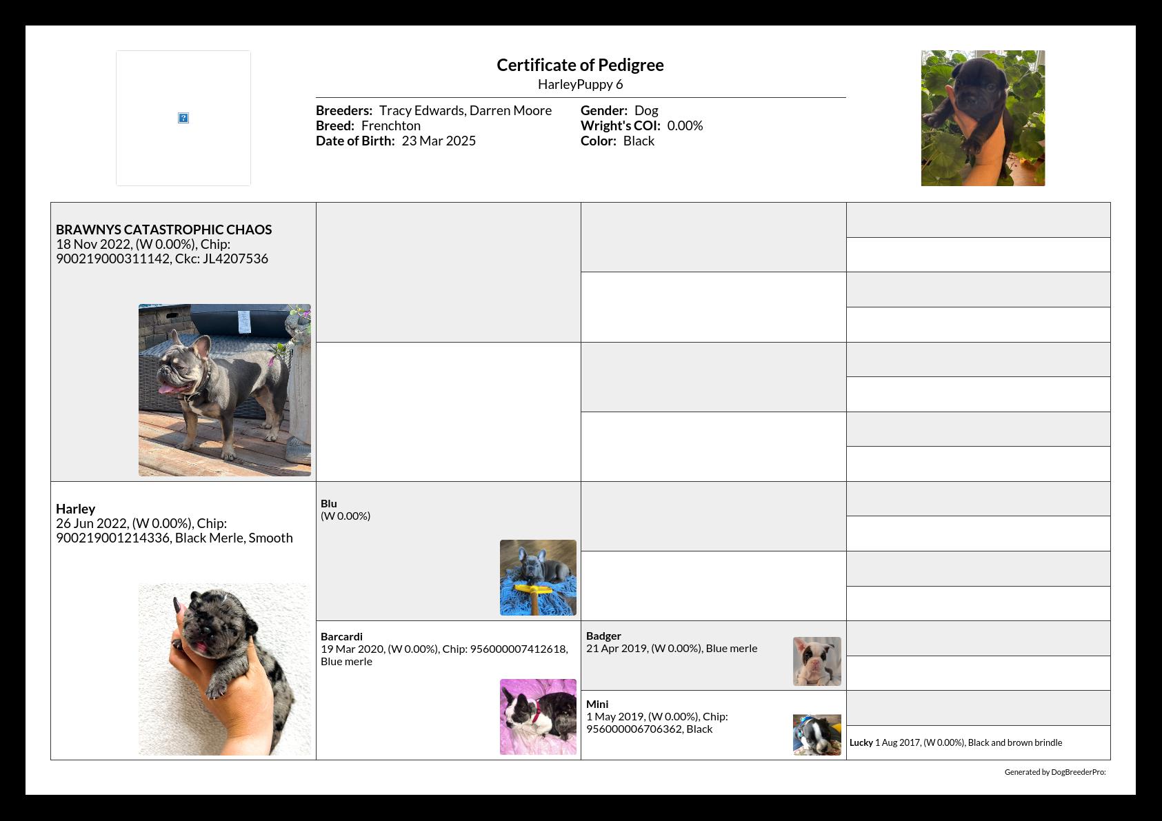 Pedigree