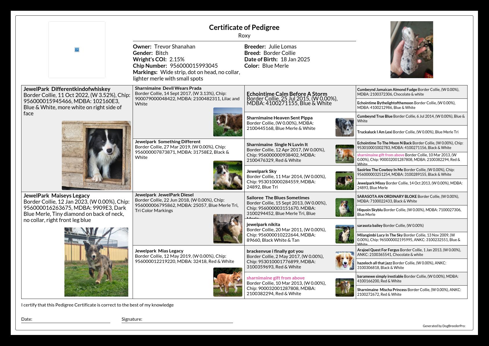 Pedigree