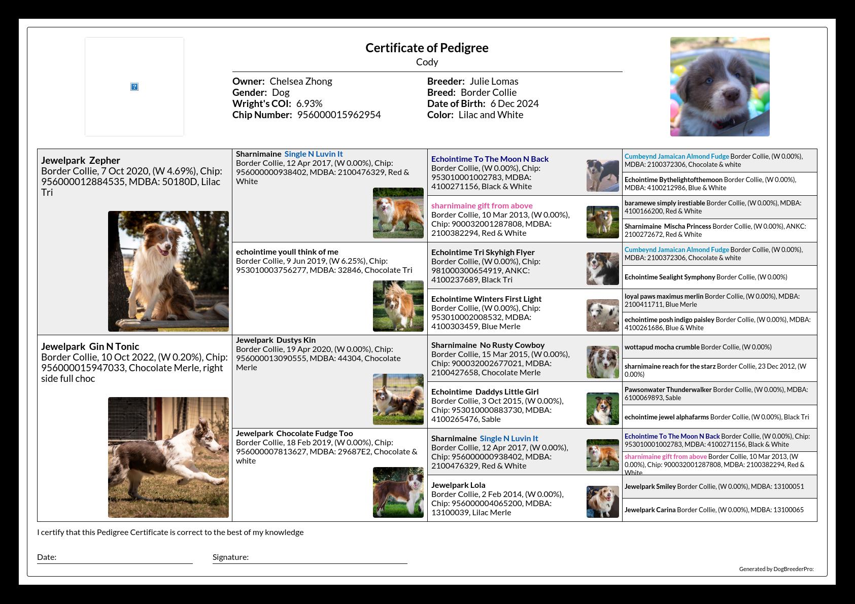 Pedigree