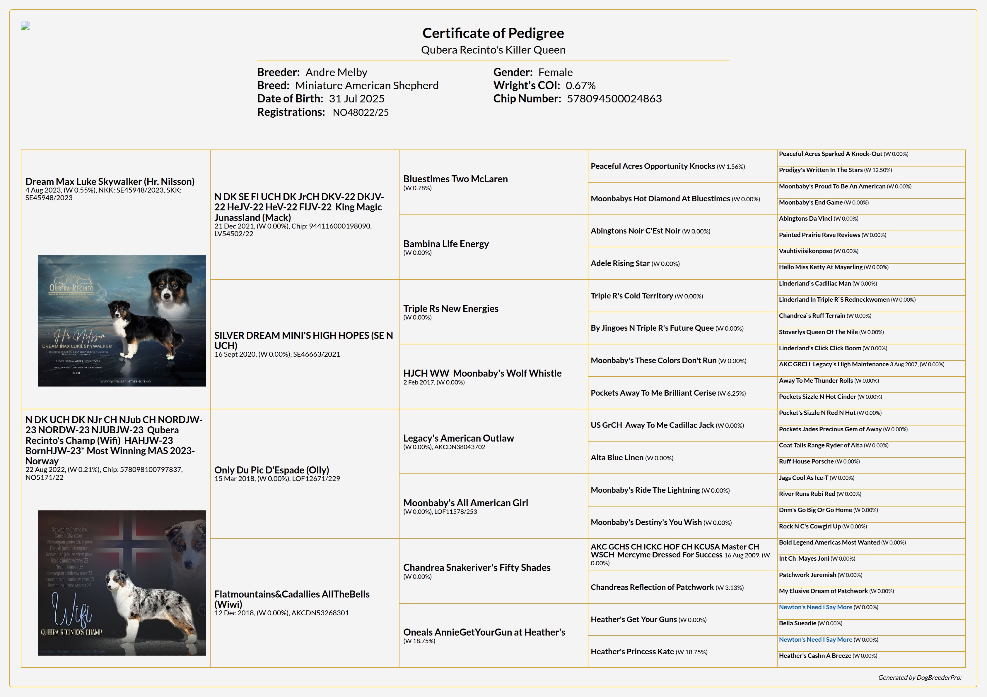 Pedigree