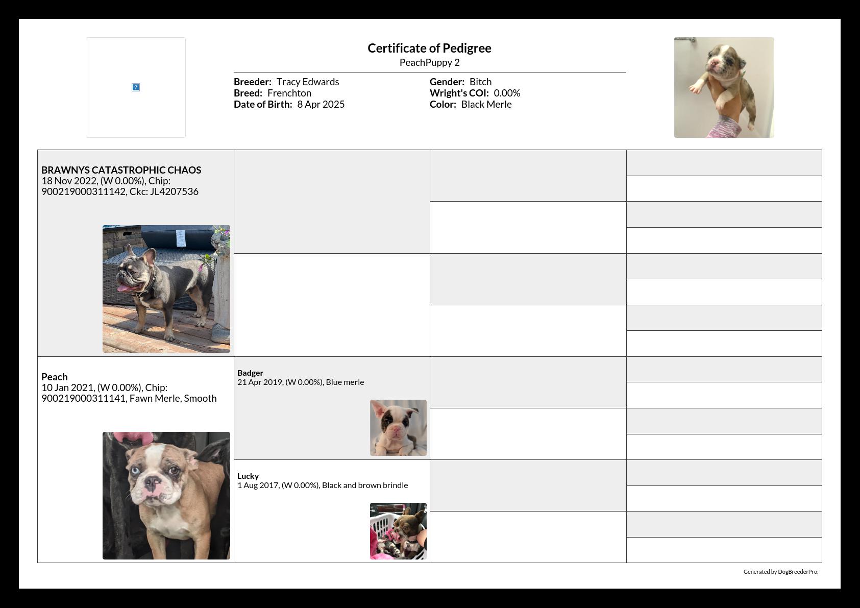 Pedigree