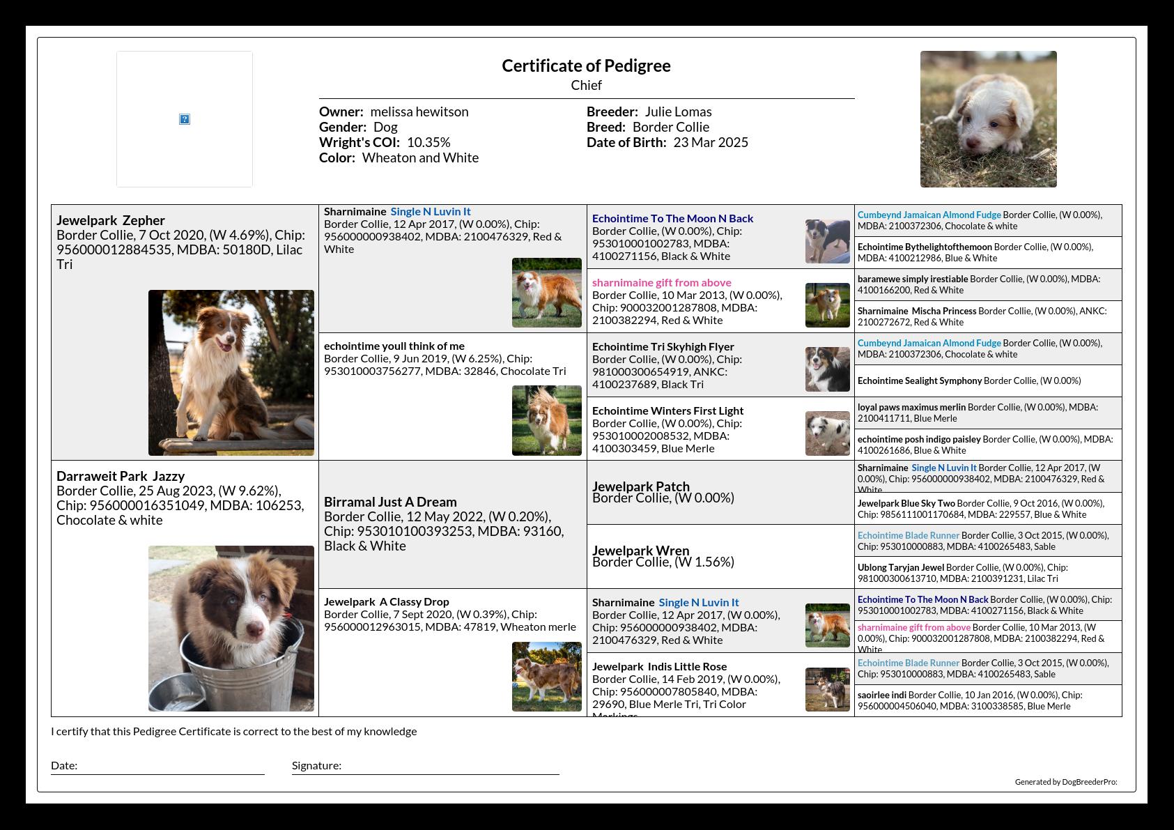 Pedigree