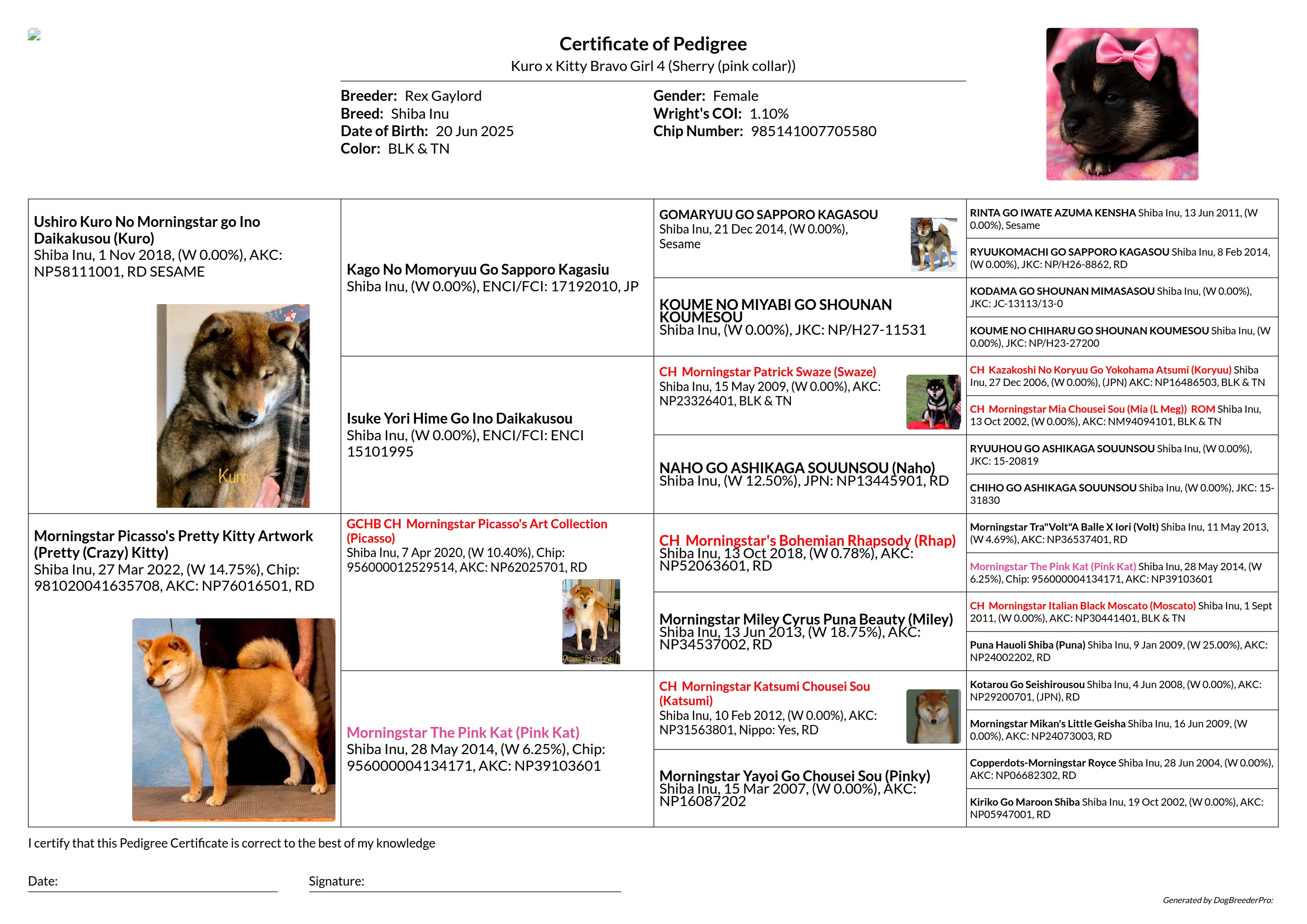 Pedigree