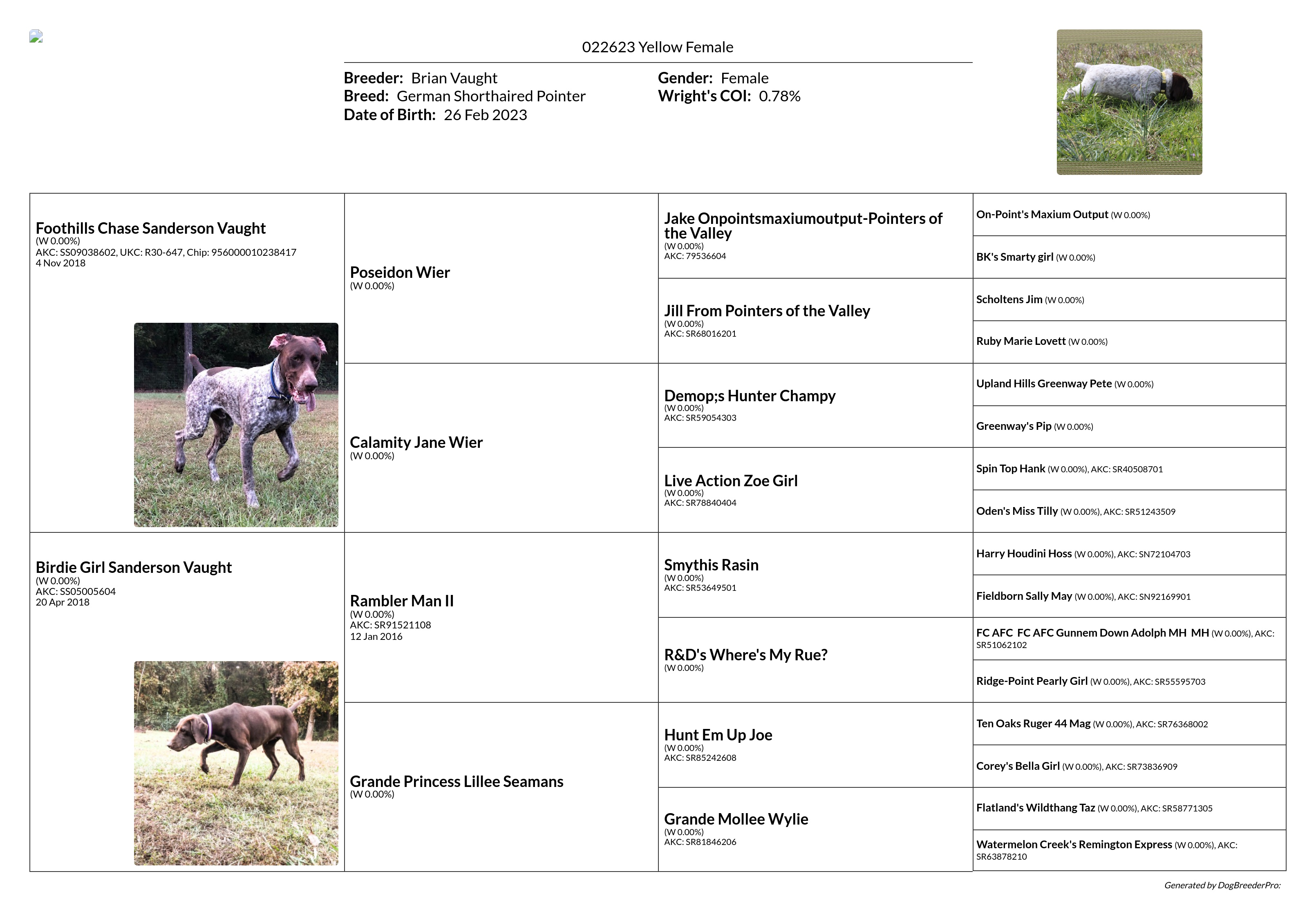 022623 Yellow Female