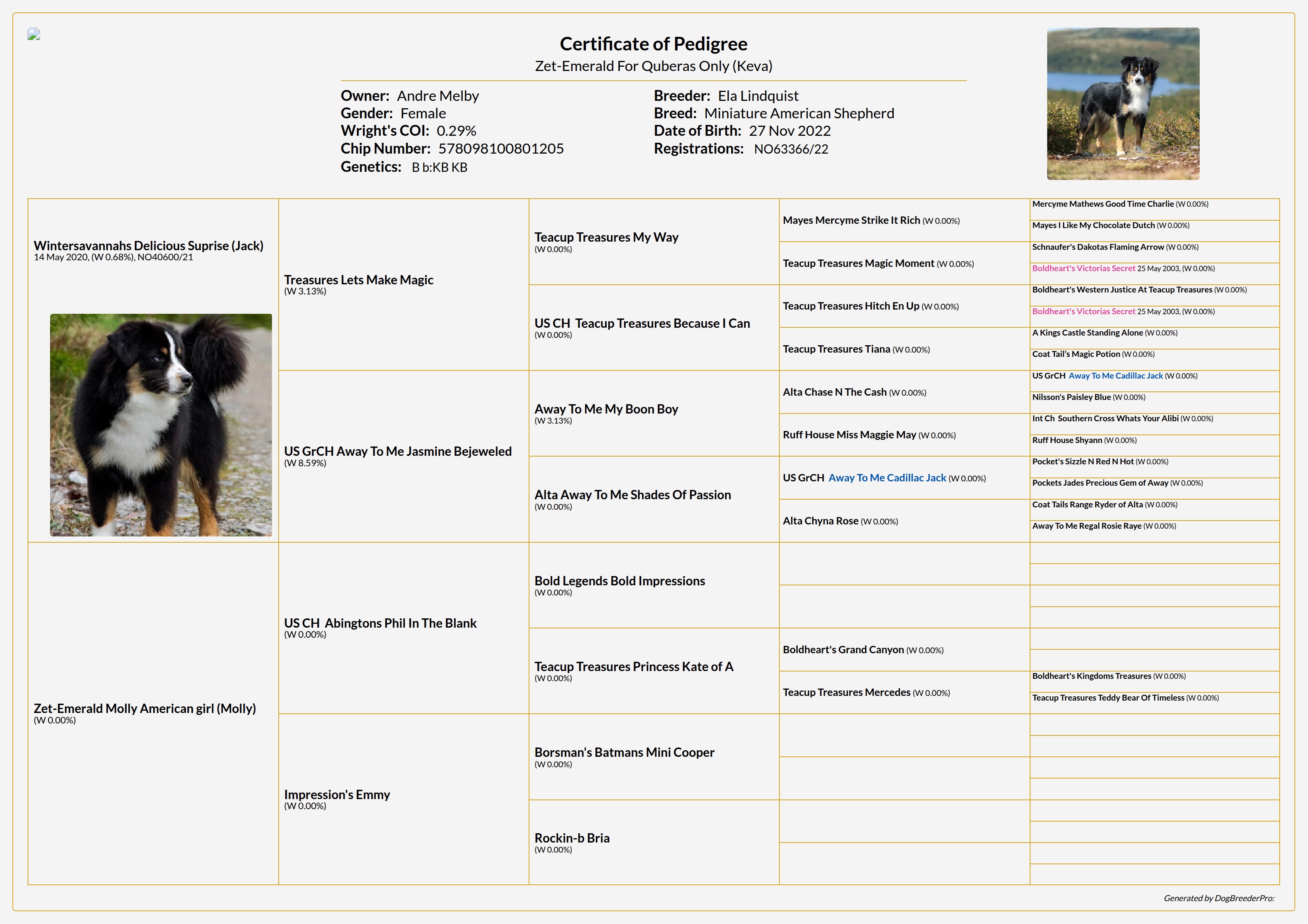Pedigree