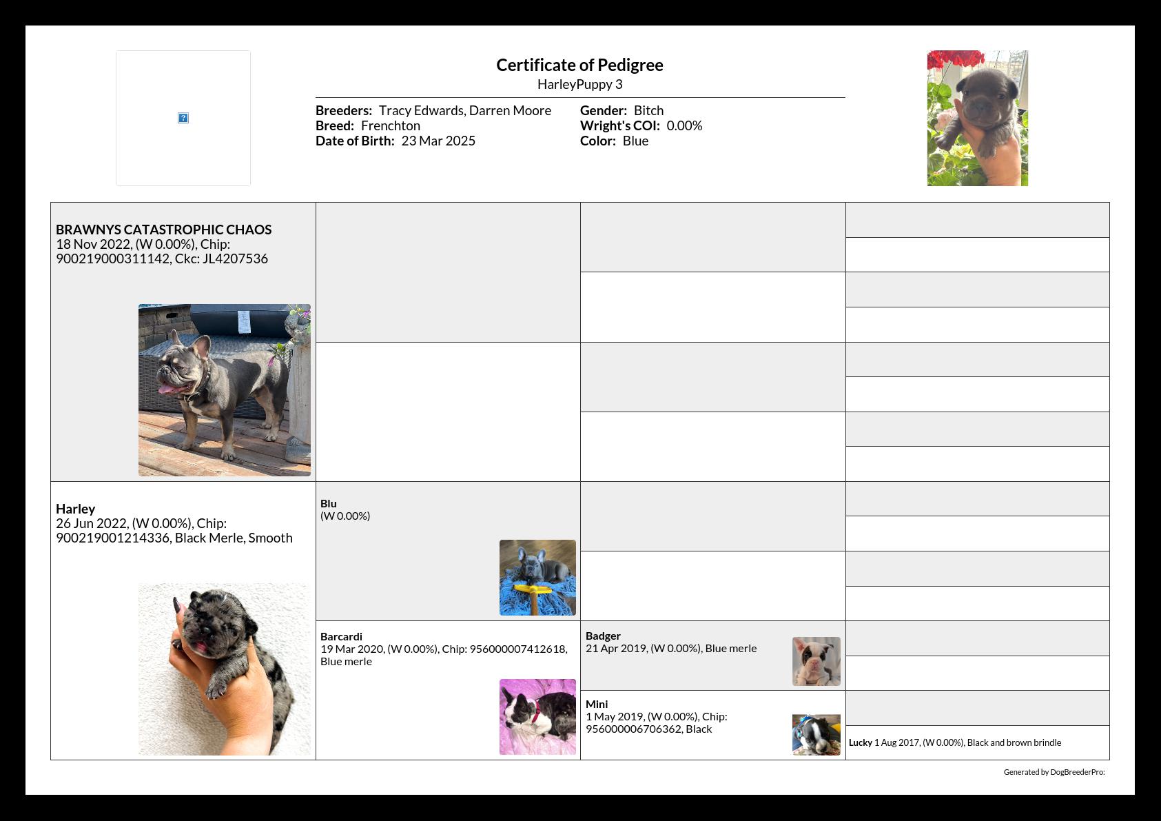 Pedigree