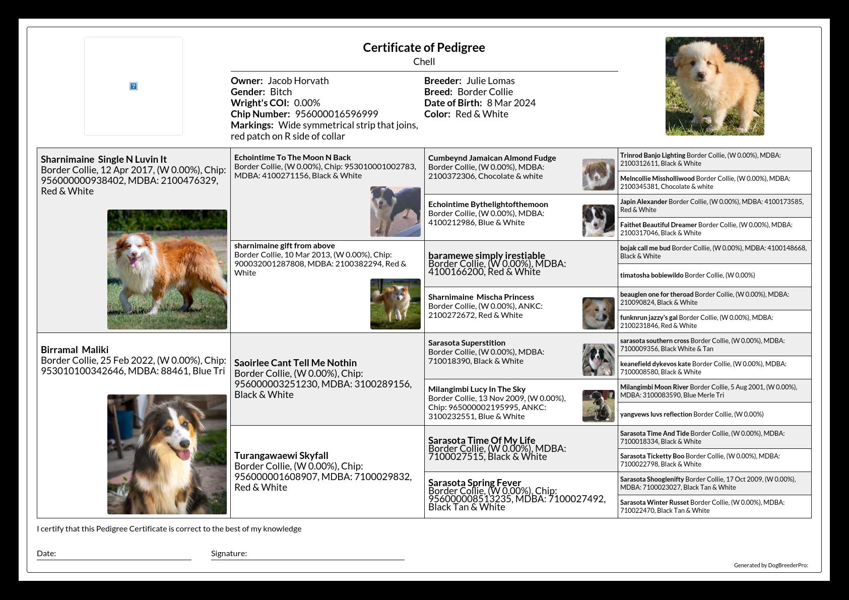 Pedigree