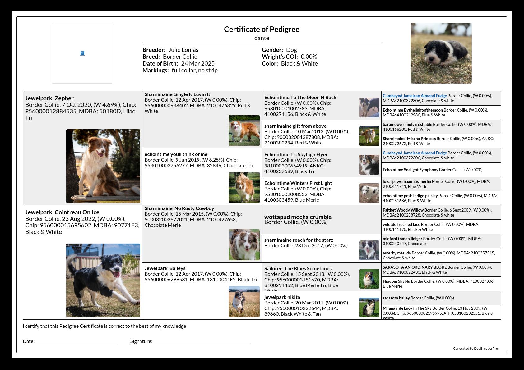Pedigree