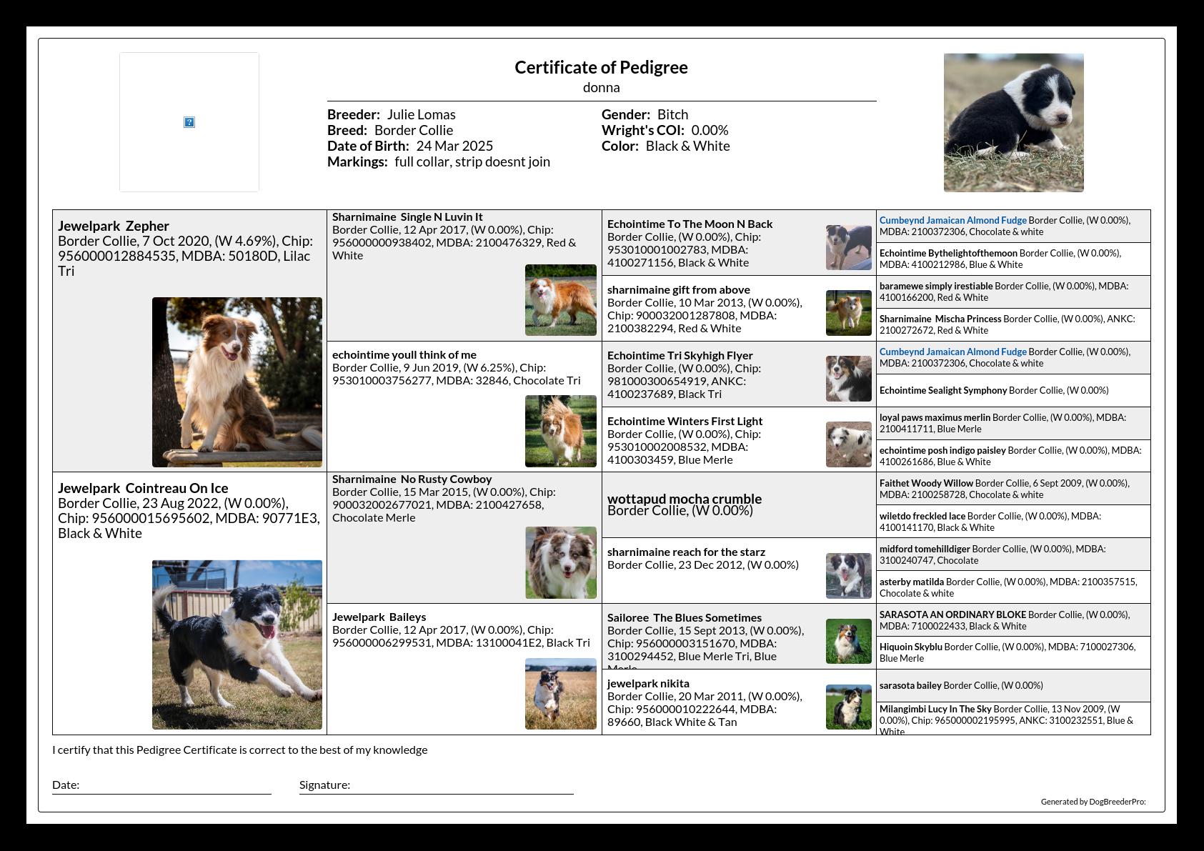 Pedigree