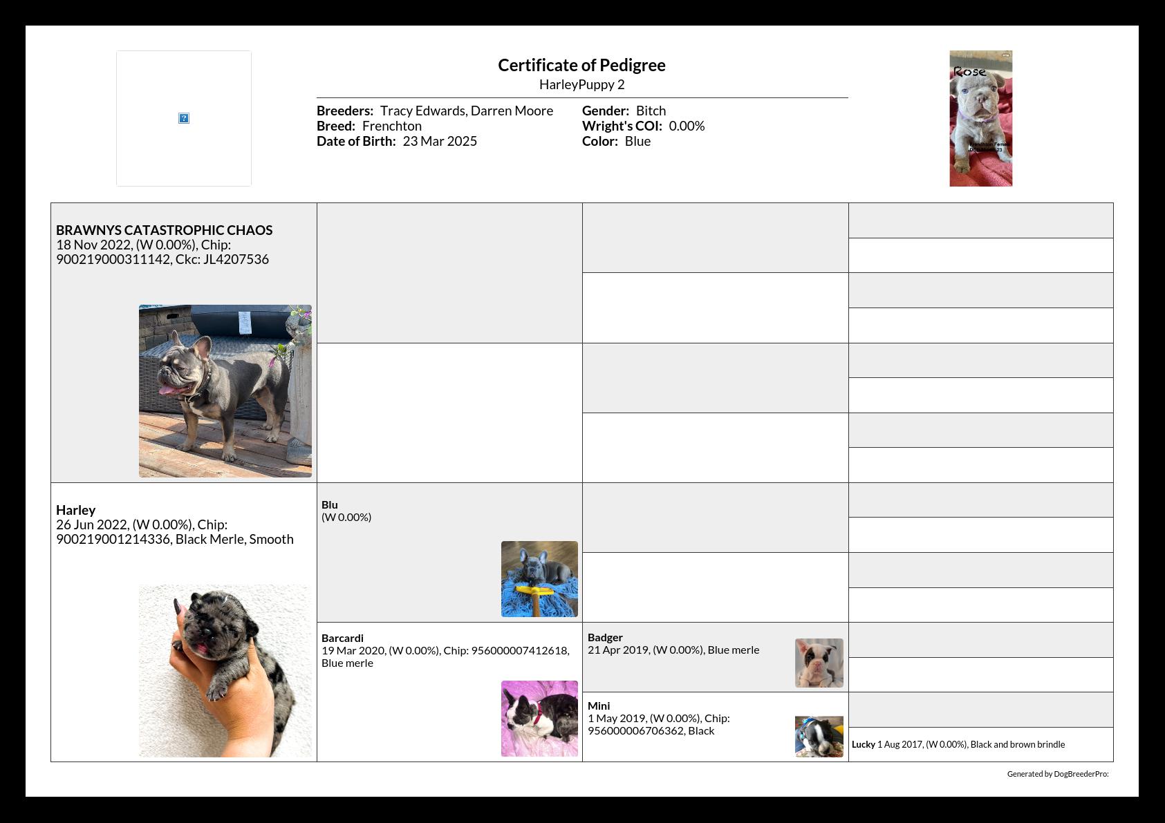 Pedigree