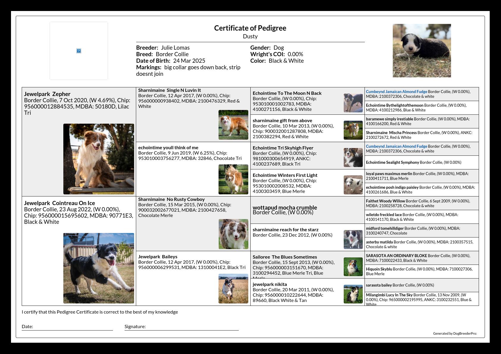Pedigree