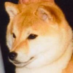 Retired dam profile thumbnail