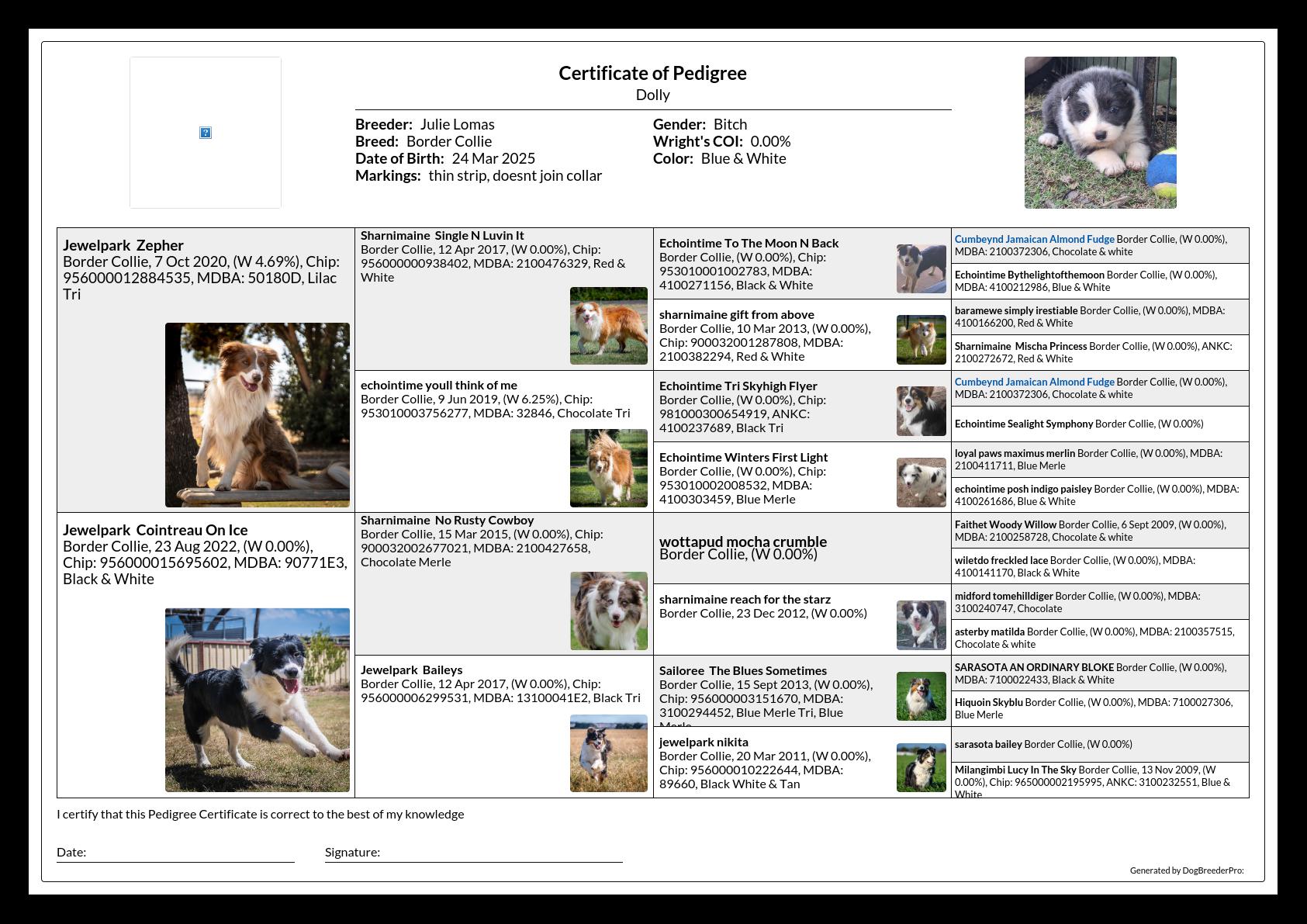 Pedigree
