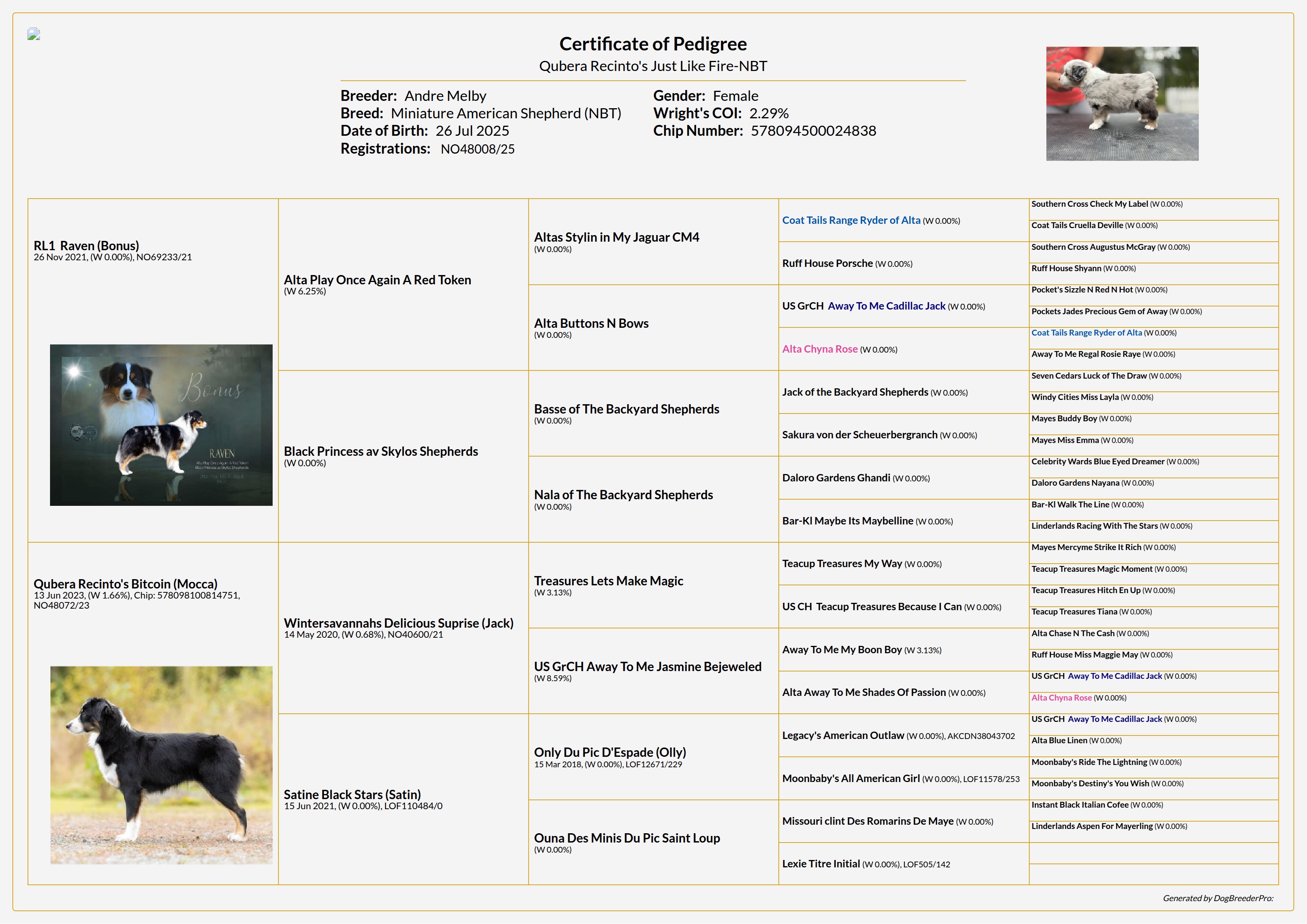 Pedigree