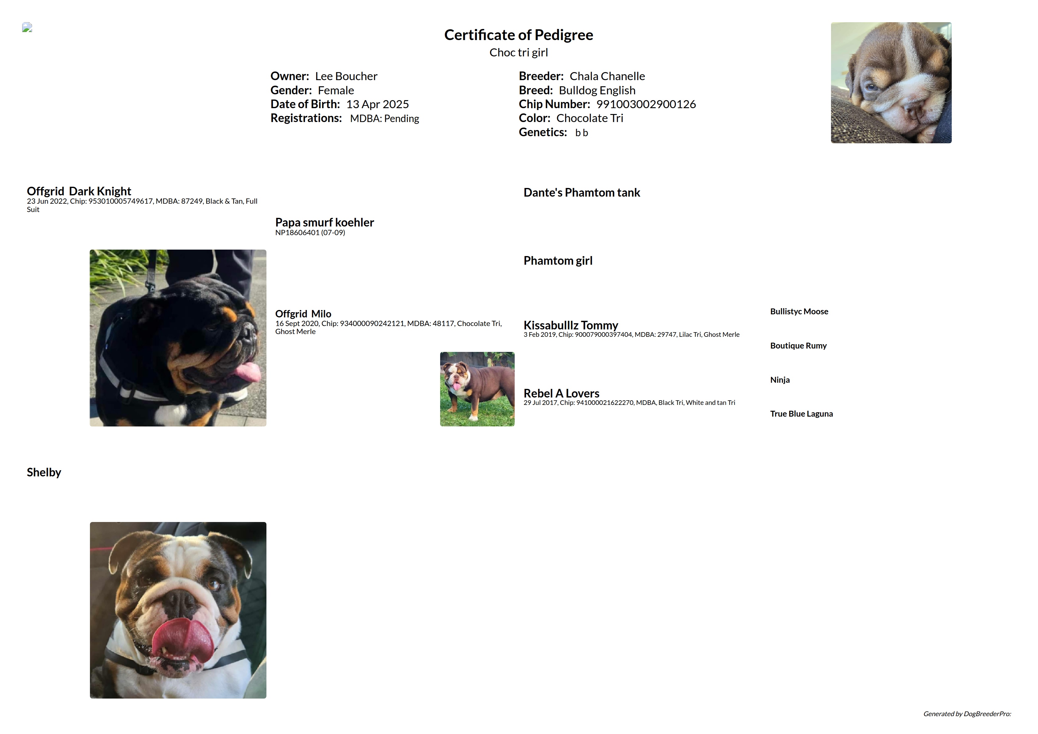 Pedigree