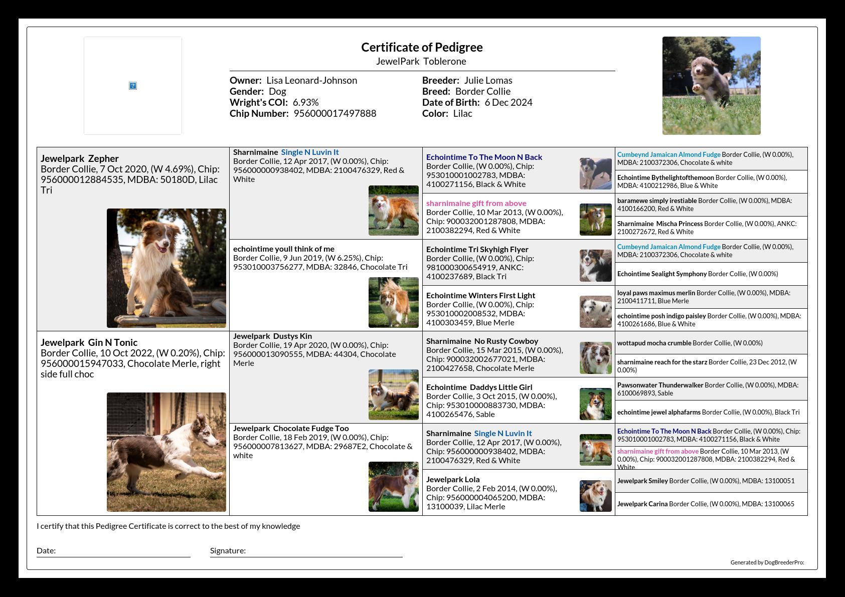 Pedigree
