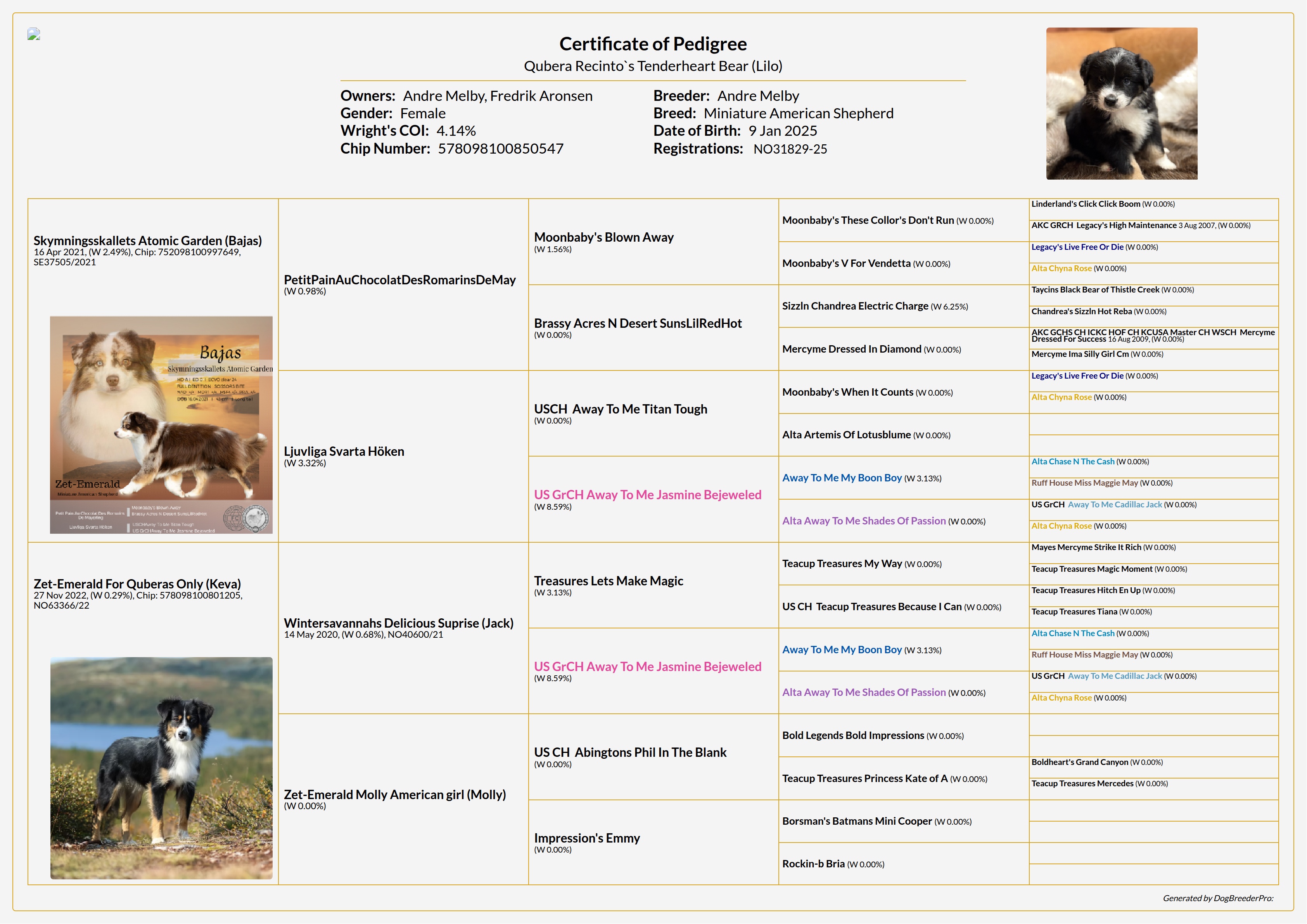 Pedigree