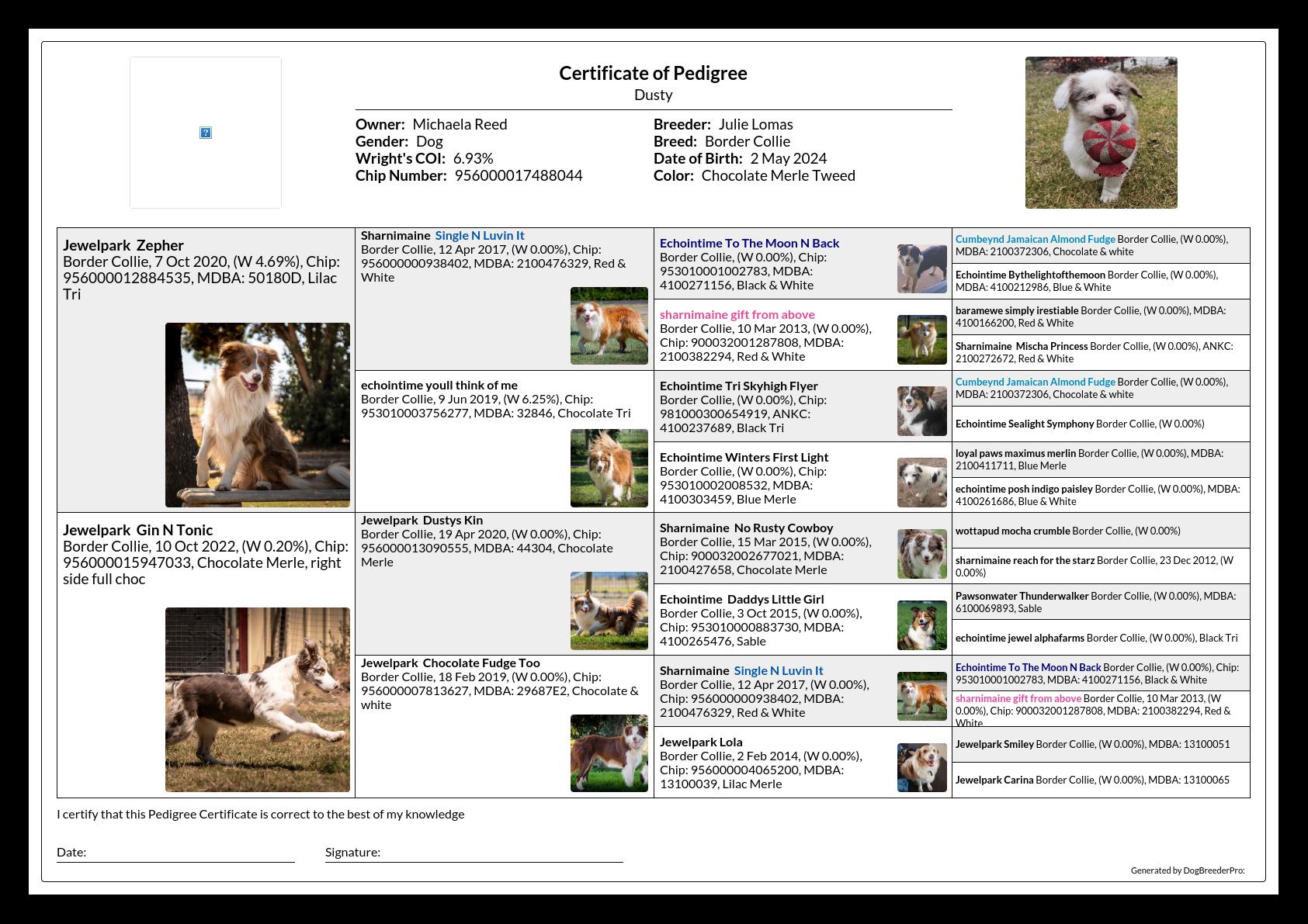 Pedigree