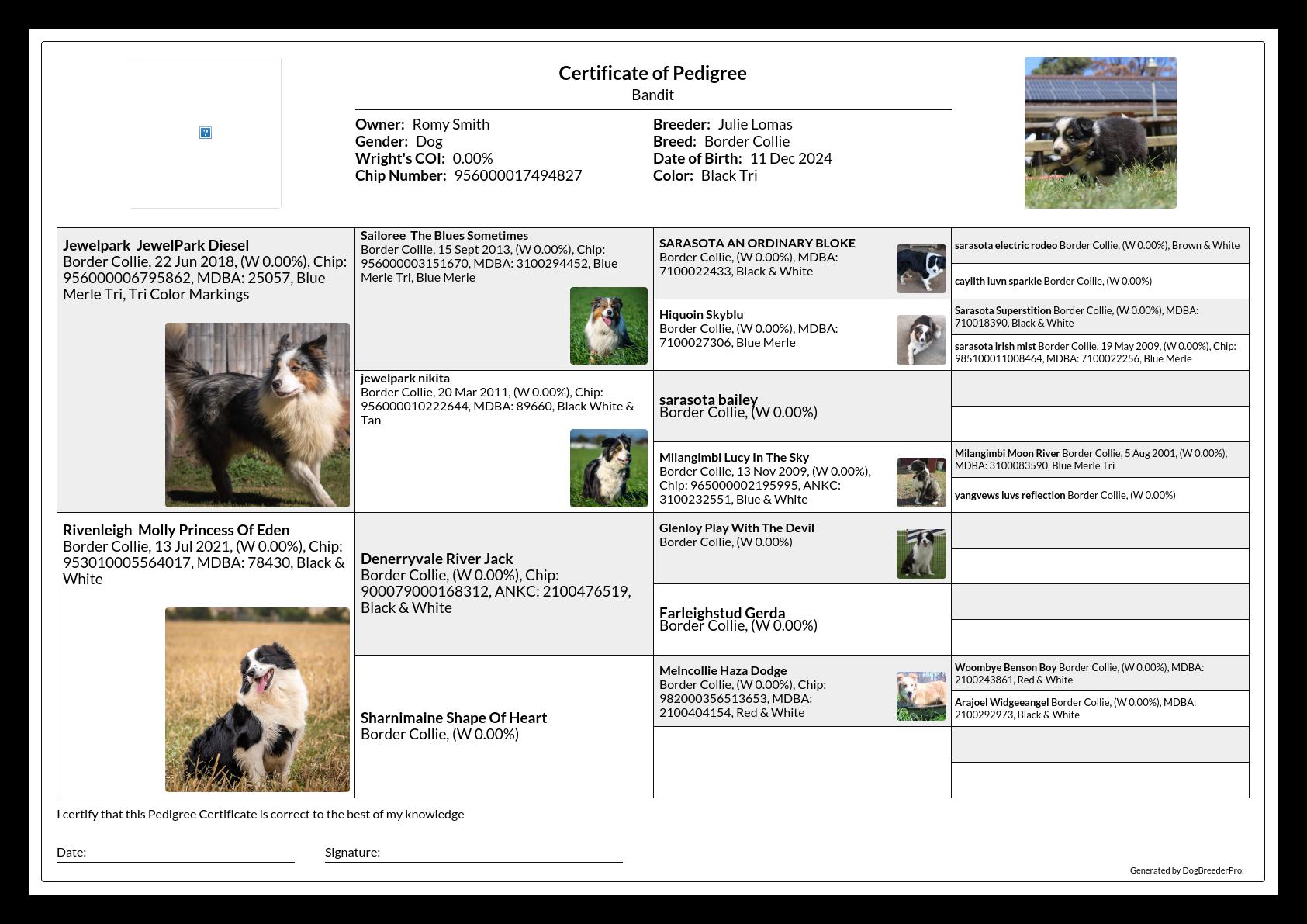 Pedigree