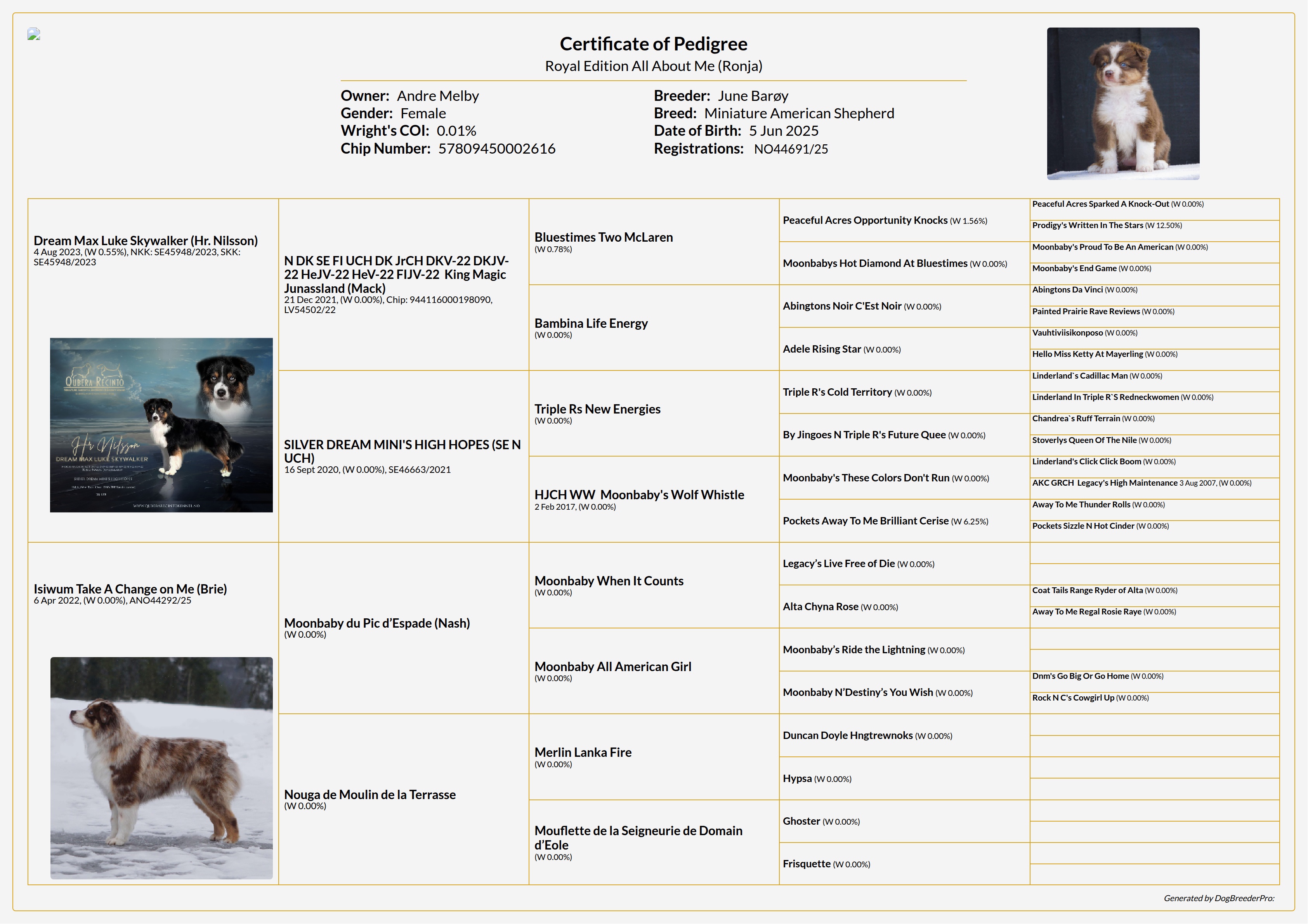 Pedigree