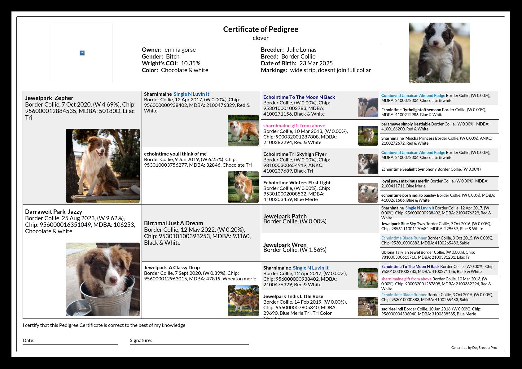 Pedigree