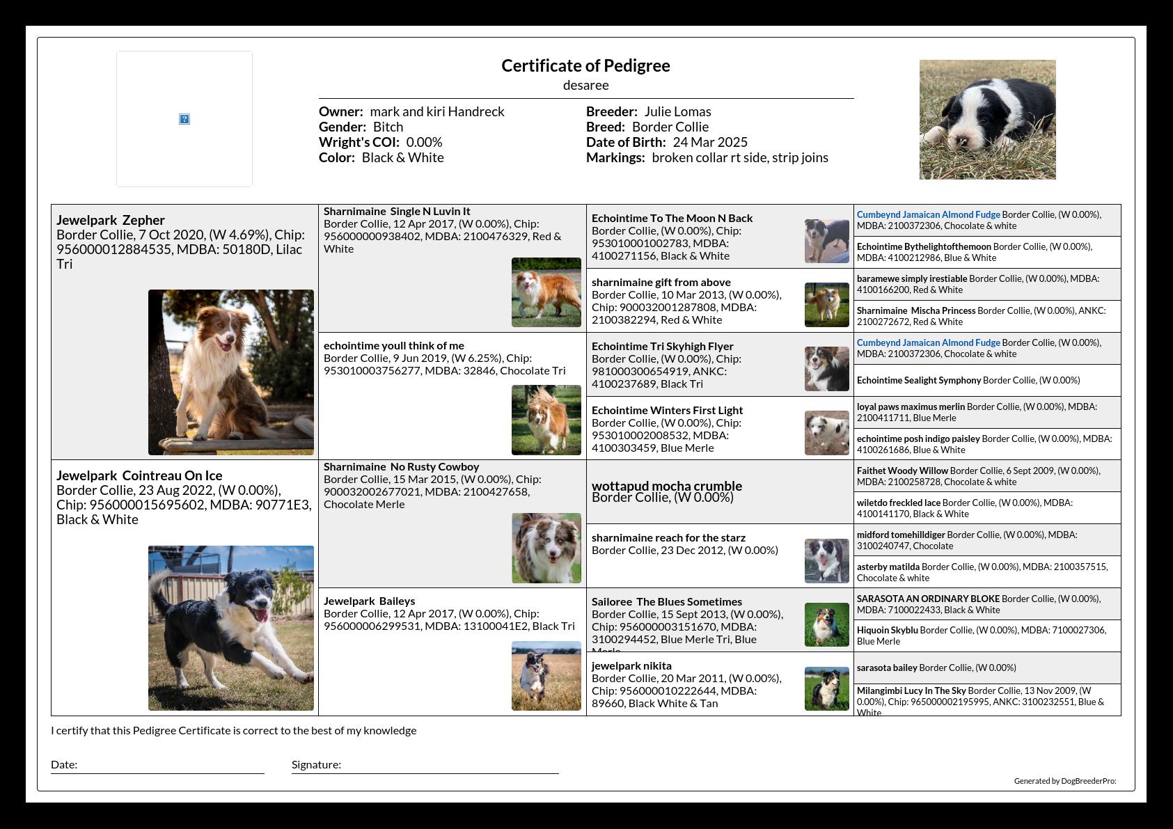 Pedigree