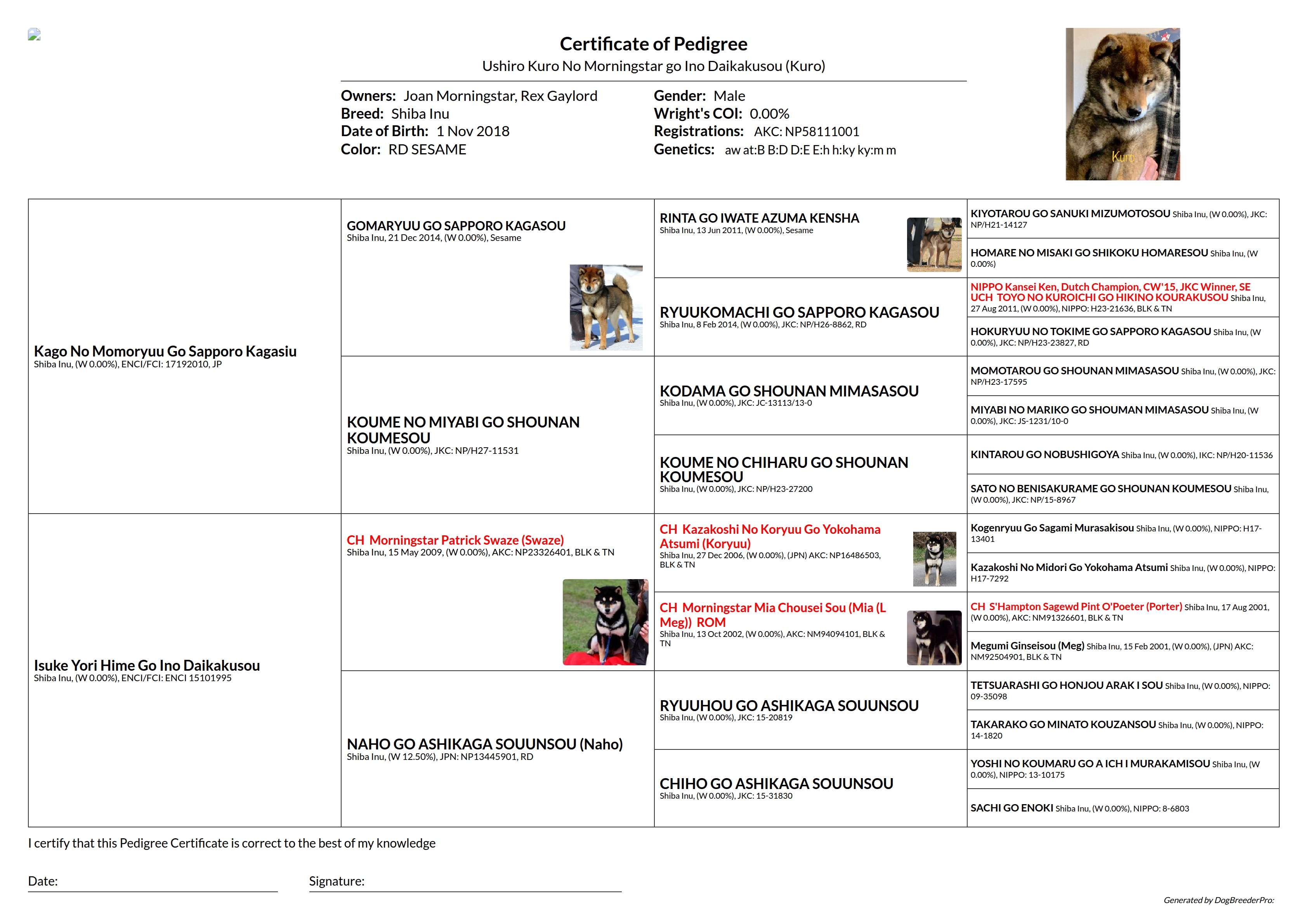 Pedigree