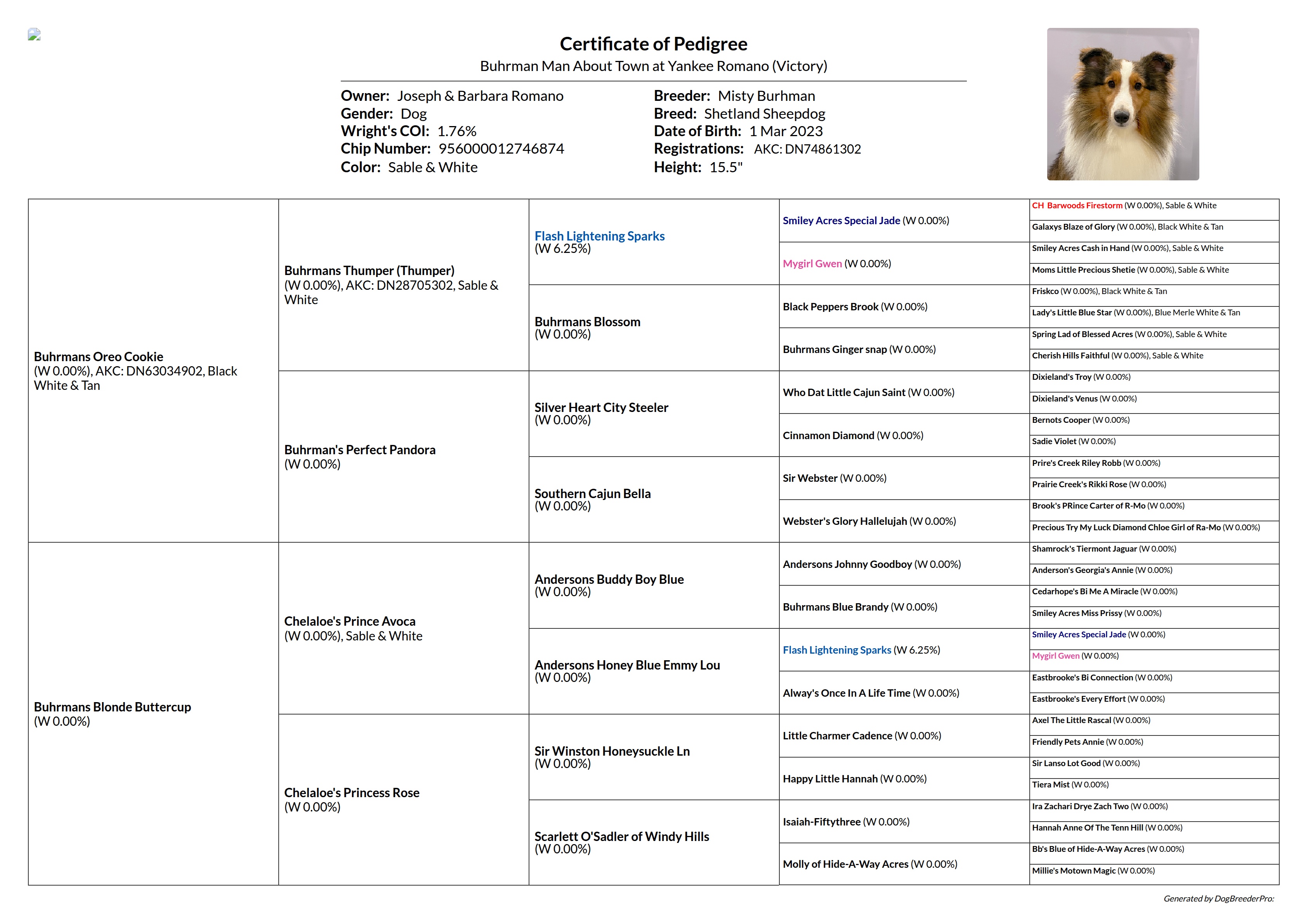 Pedigree
