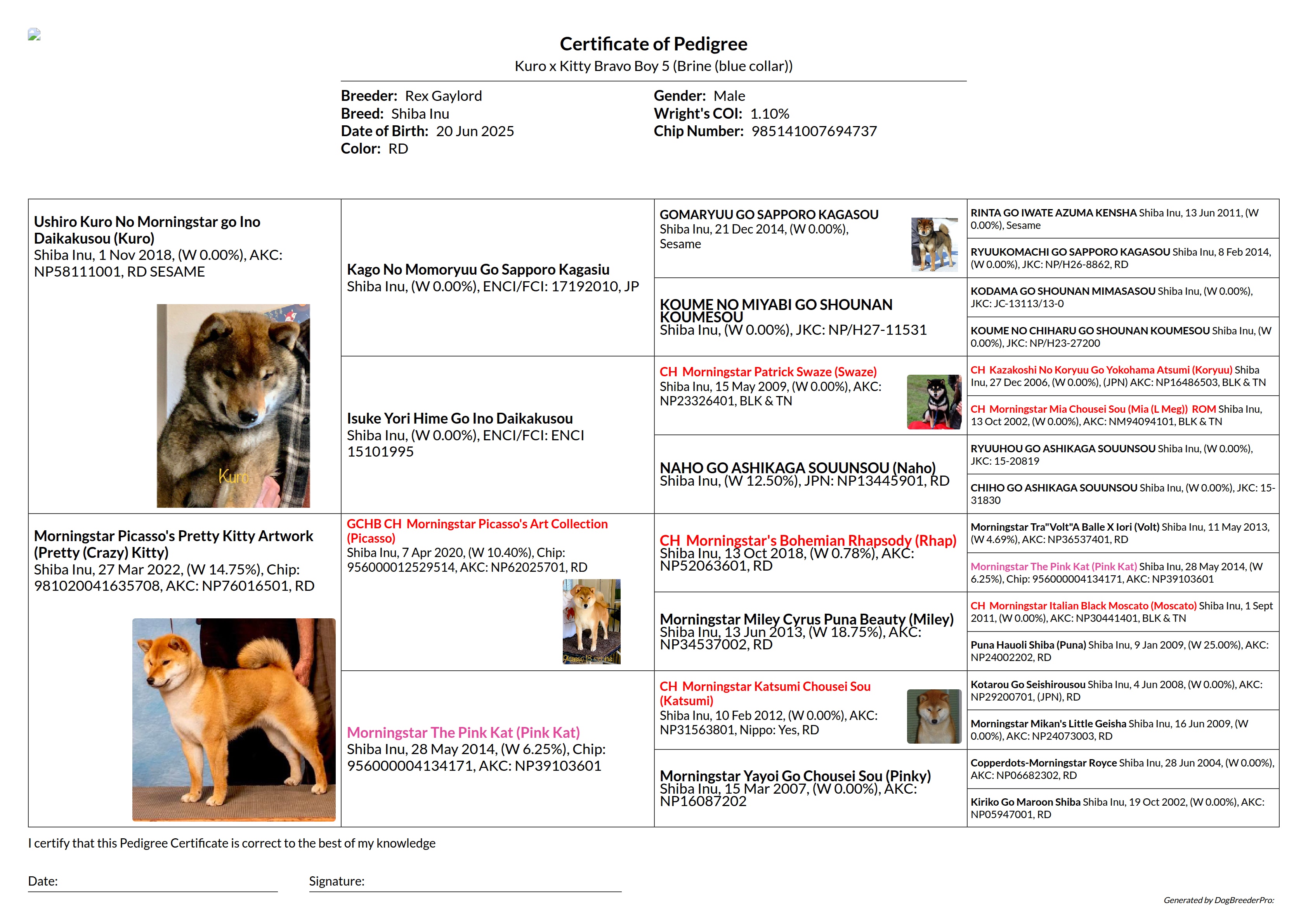 Pedigree