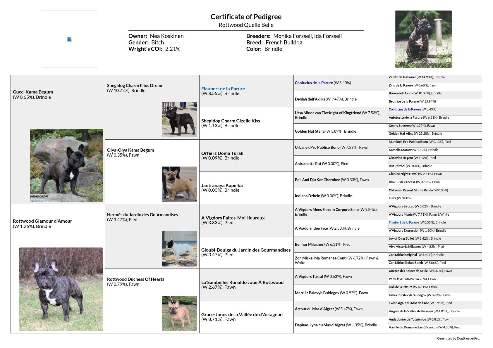 Pedigree