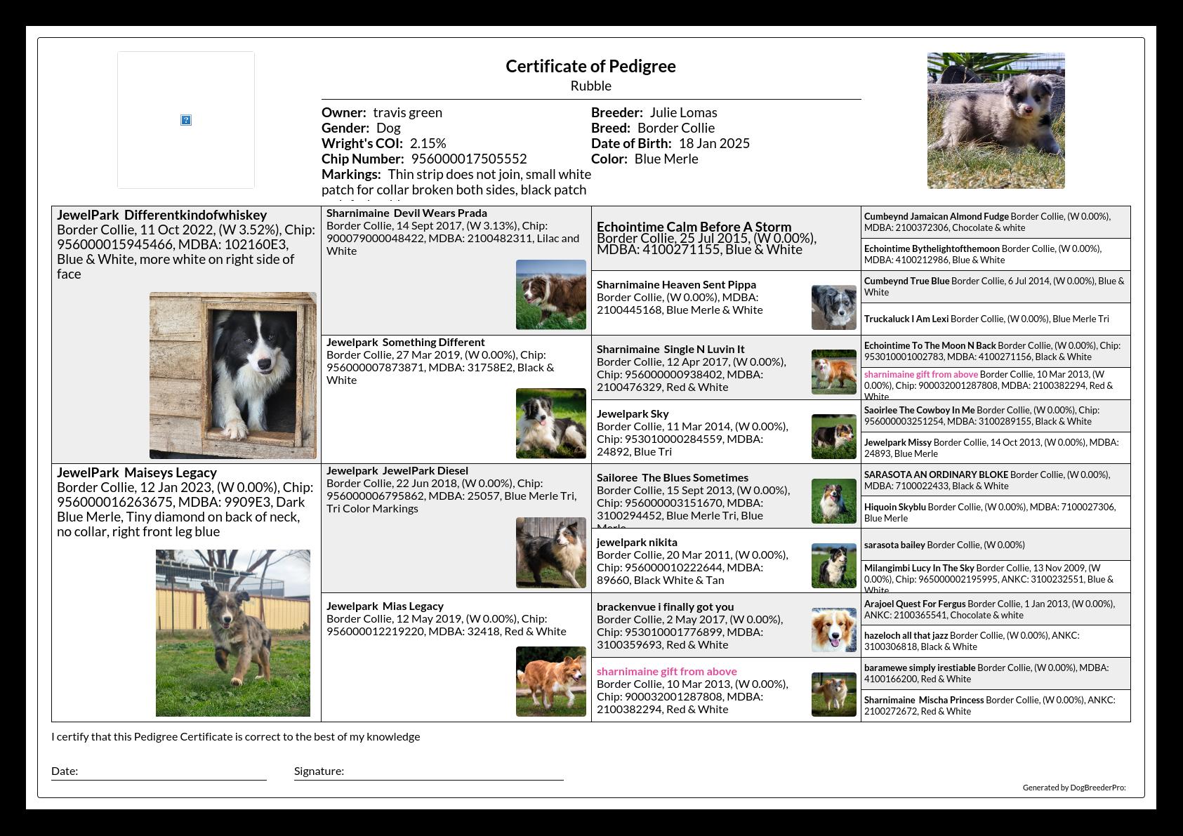Pedigree