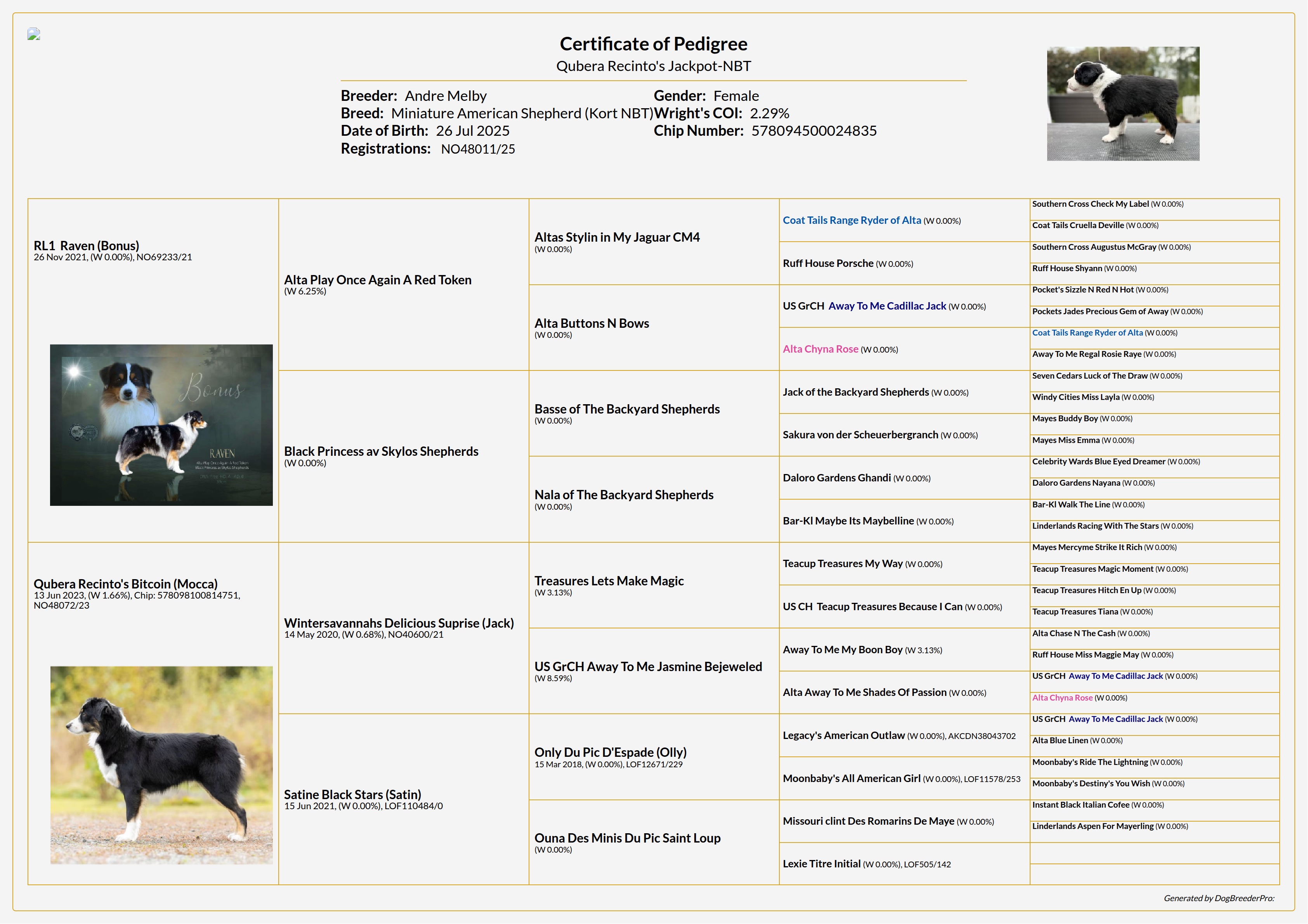 Pedigree