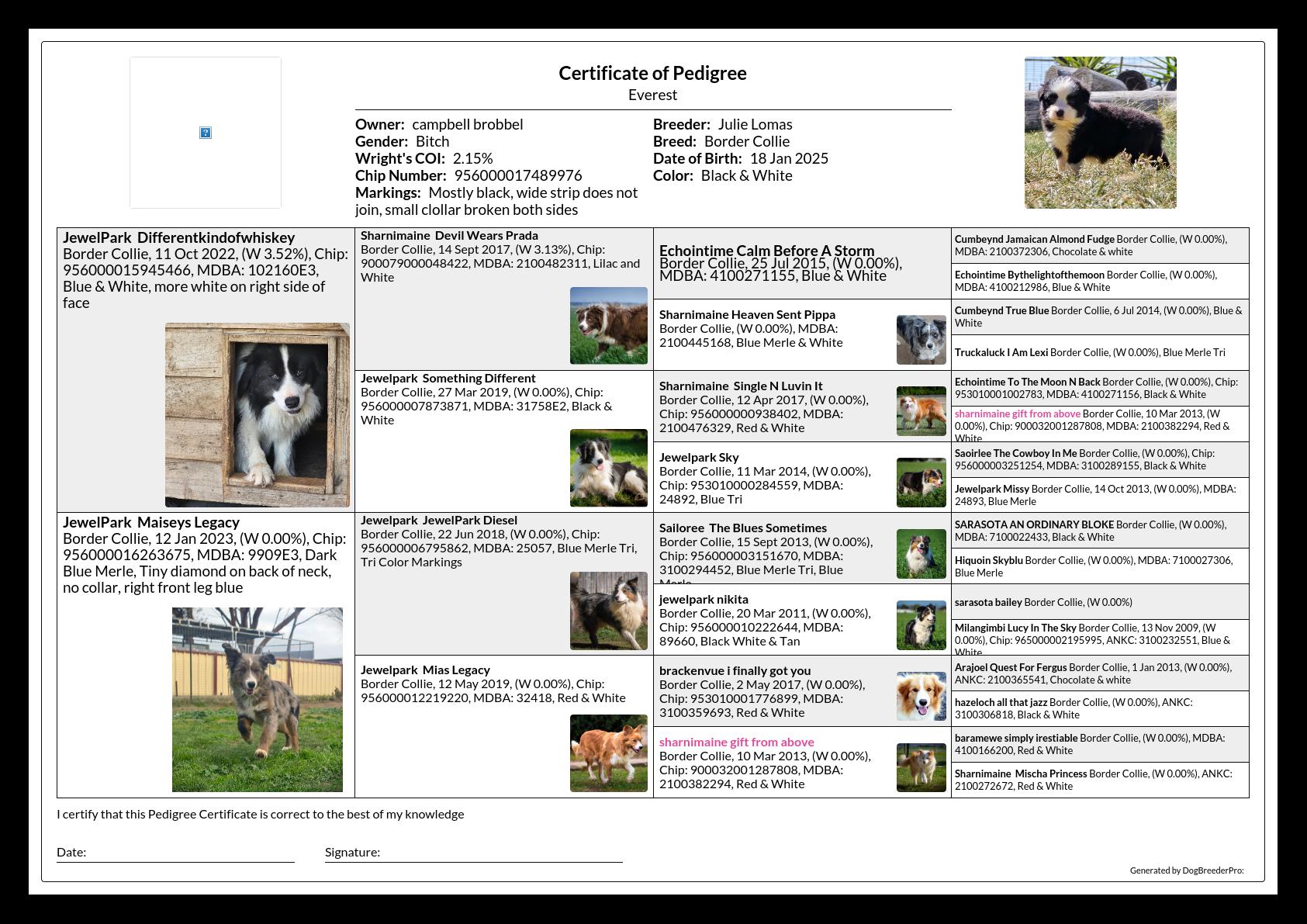 Pedigree