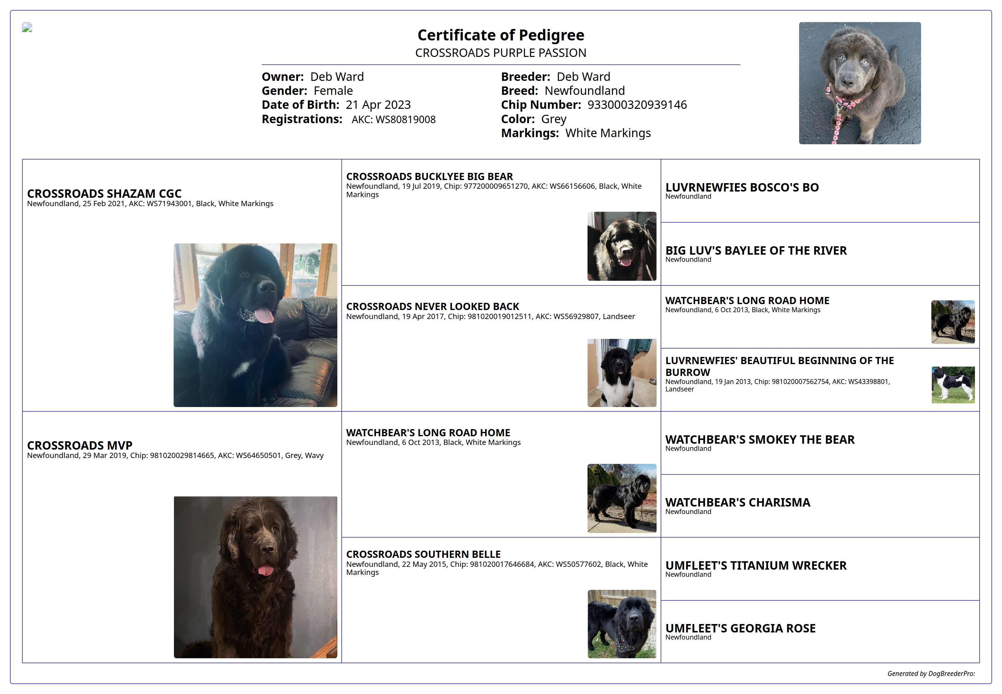 Pedigree
