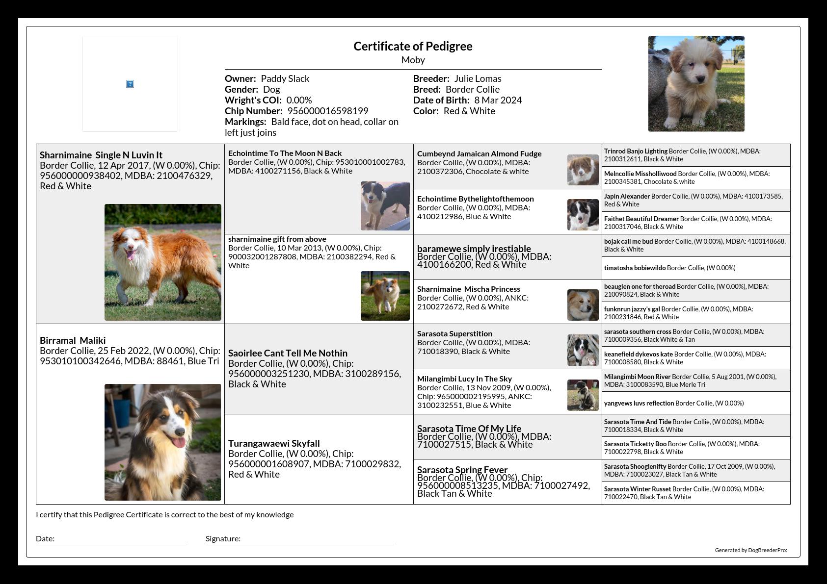 Pedigree